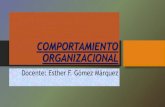 HABILIDADES DE LIDERAZGO · 2017. 4. 1. · organizacional Individual Grupal Organizacional Medio ambiente Elementos: PERSONAS ESTRUCTURA ENTORNO ... combinaciones de clima y cultura