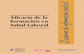 Cuaderno de información sindicalccoo.upv.es/files/Salud-Laboral/2007/cseficaciasl260506.pdf · 2013. 10. 15. · actividades y prerrogativas en el marco de derechos específicos