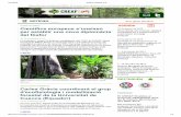 del fòsfor INFO · 2015. 1. 27. · Nº 5, gener del 2014 16 de gener de 2014 Recreating rain forests: applied nucleation as a tropical forest restoration strategy [+INFO] 23 de
