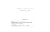 Tema 1: Introduccióntrajano.us.es/~antonio/FdeT/curso2010_11/Tema_1[1][1].pdf · Introducción histórica. Origen de Java. 2. Características de Java. 3. La máquina virtual de