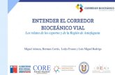 ENTENDER EL CORREDOR BIOCEÁNICO VIAL · 2021. 3. 4. · Región de Antofagasta Conclusiones 2 1 3 4 ¿Qué es el Corredor Bioceánico Vial? 5. 1 Entender los Corredores . 1 Entender