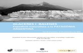 GLACERES I BALENES - Malaika Viatges...avantpassats fòssils de balenes, dofins i pingüins, entre d'altres espècimens. Un passat biològic que, al costat de la història natural