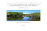 Inicio | Biodiversidad Mexicana - “D R LAGUNA AGUA ......La Fundación Packard a través del Fondo Mexicano para la Conservación de la Naturaleza (Packard-FMCN), solicitó a la