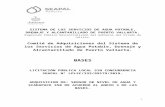 €¦  · Web view2019. 9. 13. · SISTEMA DE LOS SERVICIOS DE AGUA POTABLE, DRENAJE Y ALCANTARILLADO DE PUERTO VALLARTA. Organismo Público Descentralizado del Gobierno …