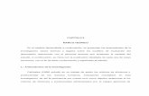 CAPITULO II MARCO TEÓRICOvirtual.urbe.edu/tesispub/0036708/cap02.pdf · 2007. 3. 21. · gerencial de este personal en cuanto a la ejecución de las funciones inherentes a su cargo
