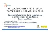 ACTUALIZACION EN RESISTENCIA BACTERIANA Y NORMAS CLSI … · 2010. 6. 29. · ACTUALIZACION EN RESISTENCIA BACTERIANA Y NORMAS CLSI 2010 Bases moleculares de la resistencia a antibi