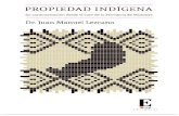 Propiedad Indígena - UGD...12 Propiedad Indígena: Su caracterización desde el caso de la Provincia de Misiones 2- Cianciardo, Juan, “Universalidad, multiculturalismo y derechos
