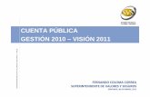 CUENTA PÚBLICA GESTIÓN 2010 – VISIÓN 2011 · 2021. 5. 19. · Superintendencia de Valores y Seguros de Chile Equipo Humano 2010 N° de funcionarios % dotación Ingeniería Comercial