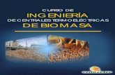 CURSO DE INGENIERÍA · 2013. 12. 10. · Nivel del curso: El nivel del curso es alto. Se exigen conocimientos previos de centrales termoeléctricas de biomasa, ya que el curso no
