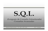 SQL - Avanzadobiblioteca.esucomex.cl/RCA/SQL consultas avanzadas.pdfConsultas Avanzadas. Sistemas de Bases de Datos II - ITS – EMT – CETP - 2010 Prof. L. Carámbula S.Q.L Producto