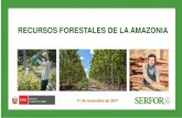 RECURSOS FORESTALES DE LA AMAZONIA · c. La diversidad biológica forestal y de fauna silvestre, incluyendo sus recursos genéticos asociados d. Los bosques plantados en tierras del