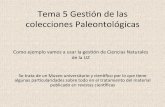 Tema 5 Gesón de las colecciones Paleontológicas€¦ · Siglas del material Yacimiento y edad Expediente de la DGA si proviene de una actuación autorizada ... emprenderá ninguna