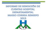 hospital Departamental Mario Correa Rengifo E.S.E, · 2019. 1. 29. · gestiÓn vigencia 2013 productividad vigencia ene-oct servicios mas representativos servicios prestados - produccion