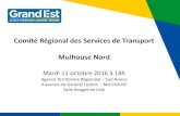 Comité Régional des Services de Transport Mulhouse Nord · Lignes TER Colmar –Munster –Metzeral : - 5,1 % • Trafic annuel en 2016 (de janvier à avril) 10 1.1 Ligne TER Colmar