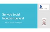 Servicio Social Inducción generalupn113leon.edu.mx/images/doc/Platicainduccionnuevoingre...SSO FOSSO02 Solicitud de inscripcion a programa de servicio social FOSSO06 Informe bimestral