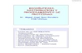 Diapositiva 1fcen.uncuyo.edu.ar/upload/sintesis-de-proteinas-i-2019.pdf · 2019. 4. 12. · Permanencia en el lúmen del RER-Lys Asp Glu Leu Coo (KDEL) Importación a la Mitocondria
