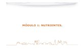 MÓDULO 1: NUTRIENTES. · 2021. 6. 2. · 1.1. NUTRIENTES La nutrición tiene que cumplir estos 4 objetivos: 1. Suministrar energía para el mantenimiento de sus funciones y actividades