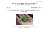 REVISTA NICARAGUENSE DE BIODIVERSIDAD · REVISTA NICARAGUENSE DE BIODIVERSIDAD. No.48. 2019. _____ (3) First record of Agalychnis callidryas Cope, 1862 (Anura: Phyllomedusidae) for