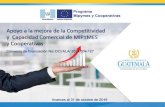Apoyo a la mejora de la ... - PROGRAMA MIPYMES IV · mejorar la presentación de servicios para las mipymes, cooperativas y los usuarios del Registro Mercantil. 10 representantes