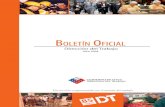 Boletin Computacional Enero 2003 - Inicio - DT · bles el año 2003. En esa ocasión, el progra-ma se ejecutó en forma piloto, y abarcó al 13% del total de los funcionarios. El