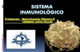 CÉLULAS Y ORGÁNOS DEL SISTEMA INMUNE · 2020. 4. 29. · Sistema Inmune El sistema inmune o sistema inmunitario, es un sistema difuso, ya que está constituido por un gran número