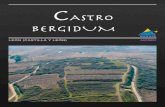 ASTRO BERGIDUM...Bergidum. Una de las derrotas más conocidas es la sufri-da a los pies de Castro Bergidum por Bermudo I, que se enfrenta a Yusuf ibn Bujt en el año 791. En el año