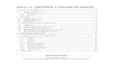 Tema 11. ENTRADA Y SALIDA DE DATOS - di002.edv.uniovi.es