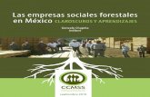 Las empresas sociales forestales en México CLAROSCUROS Y ...