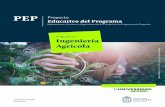 PEP Proyecto Educativo del Programa