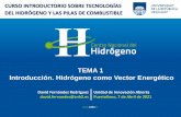 TEMA 1 Introducción. Hidrógeno como Vector Energético