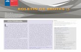 BOLETÍN DE BROTES