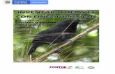 Reserva de Aves El Horiguero de Torcoroma Ocaña y Vereda ...