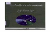 Introducción a la microeconomía / Leticia Velázquez García ...
