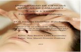 UNIVERSIDAD DE CIENCIAS MÉDICAS DE CAMAGÜEY Carlos J. …