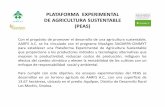 PLATAFORMA EXPERIMENTAL DE AGRICULTURA SUSTENTABLE (PEAS)