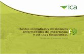 Plantas aromáticas y medicinales Enfermedades de ...