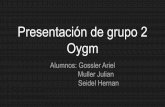 Presentación de grupo 2 Seidel Hernan Muller Julian Oygm ...