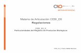 Materia de Articulación CEBI E6 Regulaciones