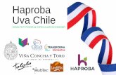 Haproba Uva Chile - ConnectAmericas