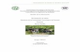 Geolocalización de Árboles en Senderos de la UTP ...