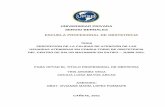UNIVERSIDAD PRIVADA SERGIO BERNALES ESCUELA PROFESIONAL DE ...