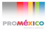 México: “Mercado y Plataforma - palermo.edu