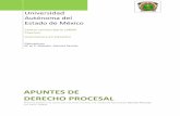 Apuntes de Derecho Procesal - Universidad Autónoma del ...