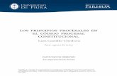 LOS PRINCIPIOS PROCESALES EN EL CÓDIGO PROCESAL CONSTITUCIONAL