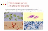 Preparaciones Microbiológicas - UNAM
