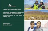 COMPAÑÍA MINERA DOÑA INÉS DE COLLAHUASI