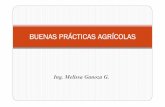 Ing. Melissa Ganoza G. - Comisión de Promoción del Perú ...