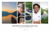 REPORTE DE SOSTENIBILIDAD 2020 - cbc