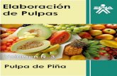 Pulpa de Piña by Sistema de Bibliotecas Sena is licensed
