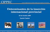 Determinantes de la inserción internacional provincial